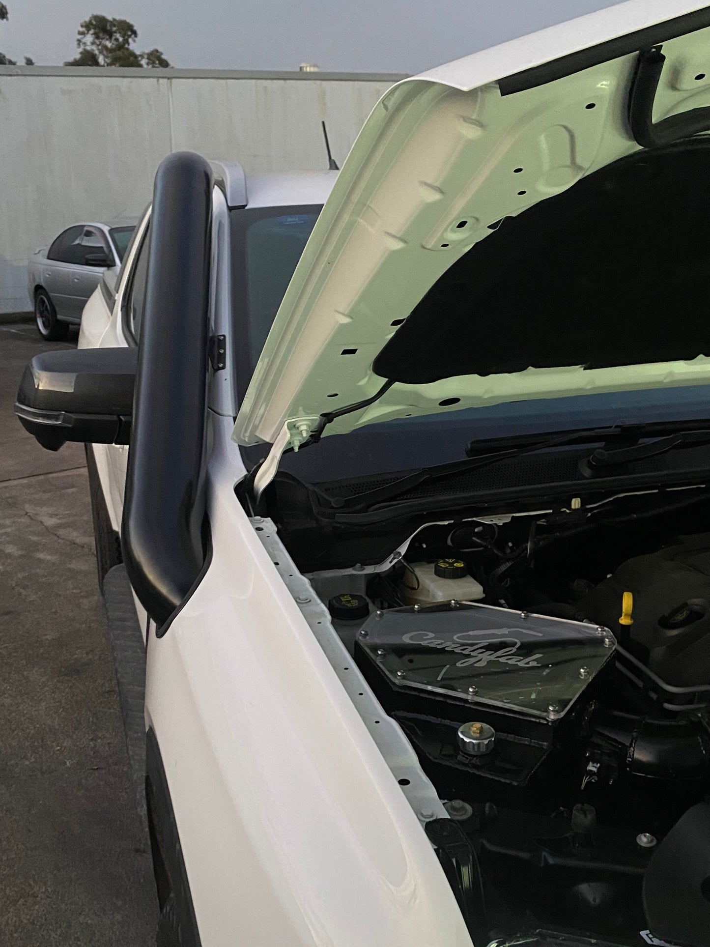 Stainless Snorkel Kit - Ford Next Gen Ranger